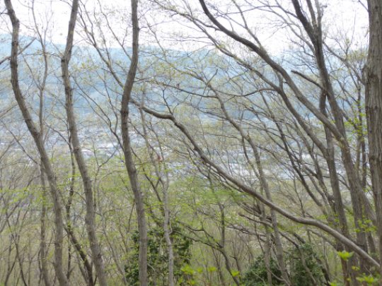 画像10